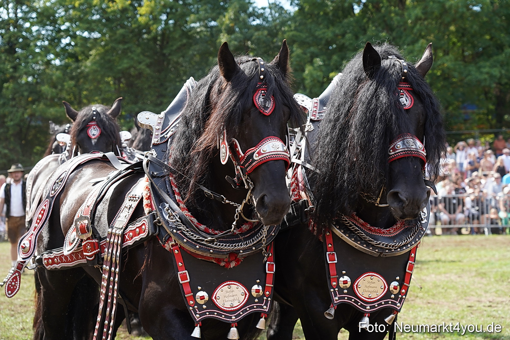 Pferde und Fohlenschau 2022 0300 